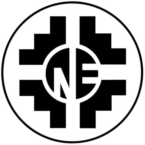 logo nacionaletnicista